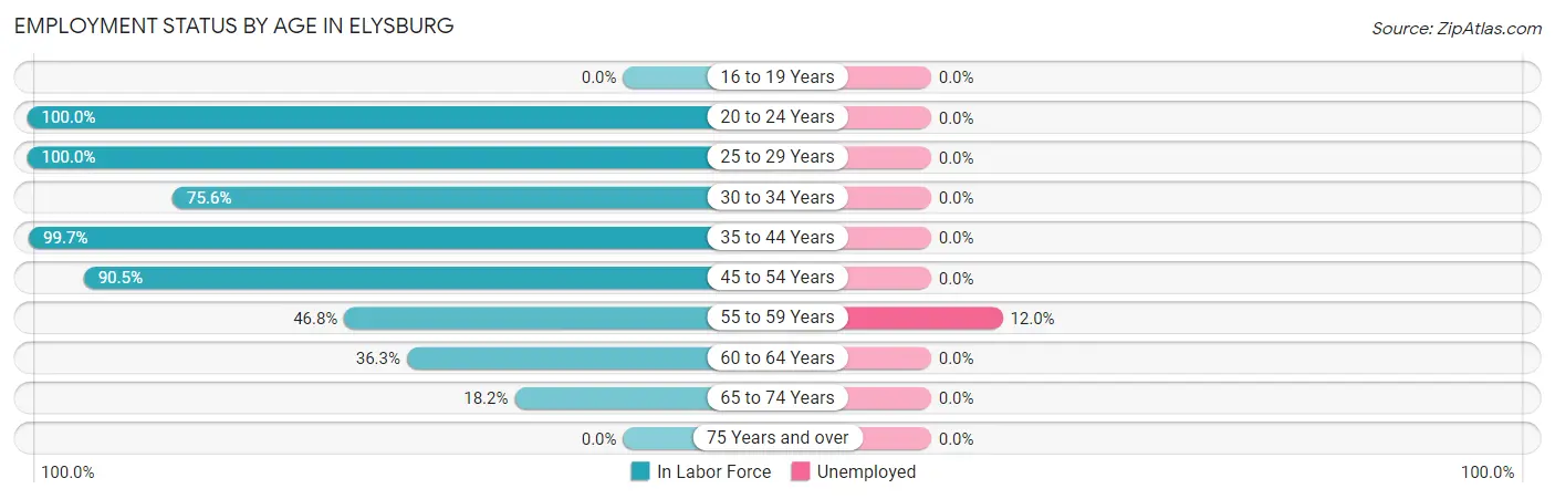 Employment Status by Age in Elysburg