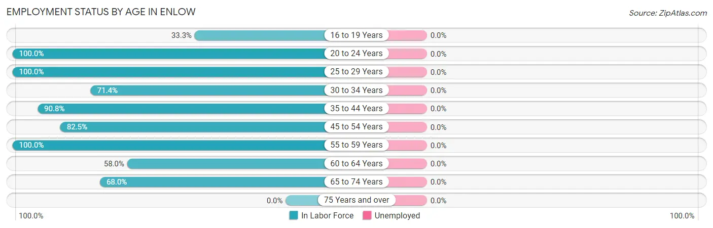 Employment Status by Age in Enlow