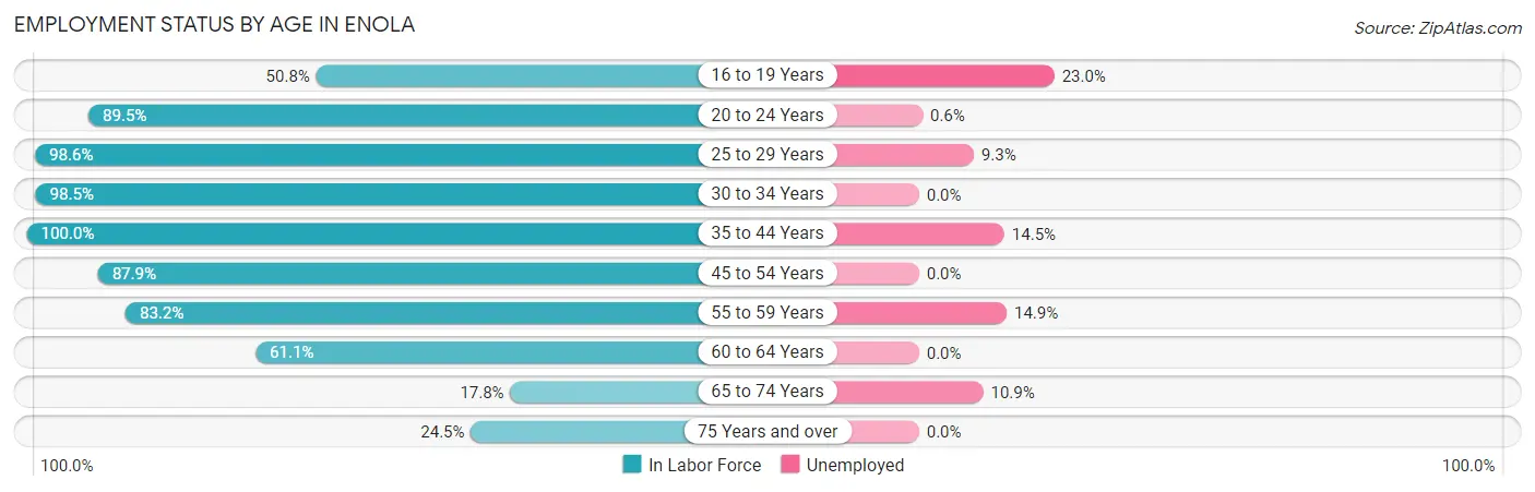 Employment Status by Age in Enola