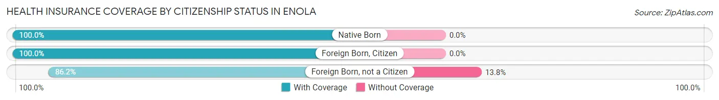Health Insurance Coverage by Citizenship Status in Enola
