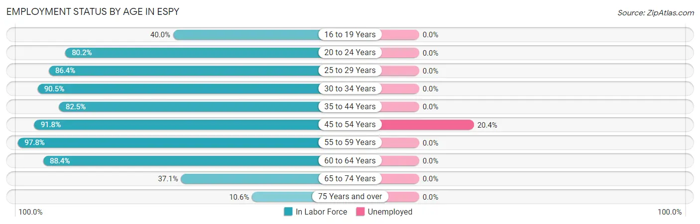 Employment Status by Age in Espy