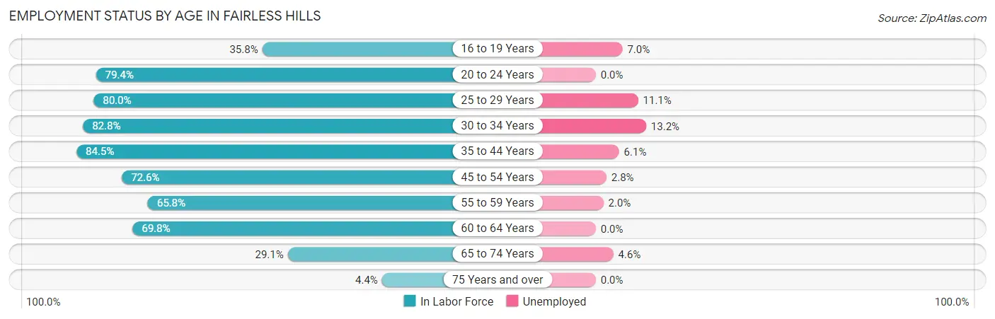Employment Status by Age in Fairless Hills