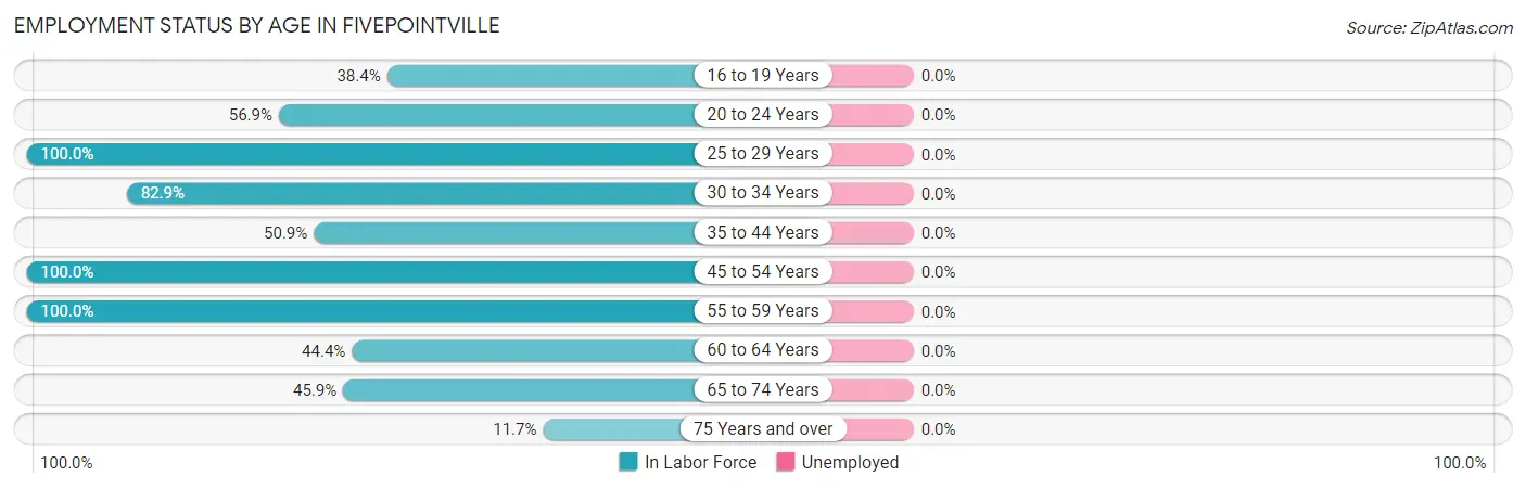 Employment Status by Age in Fivepointville