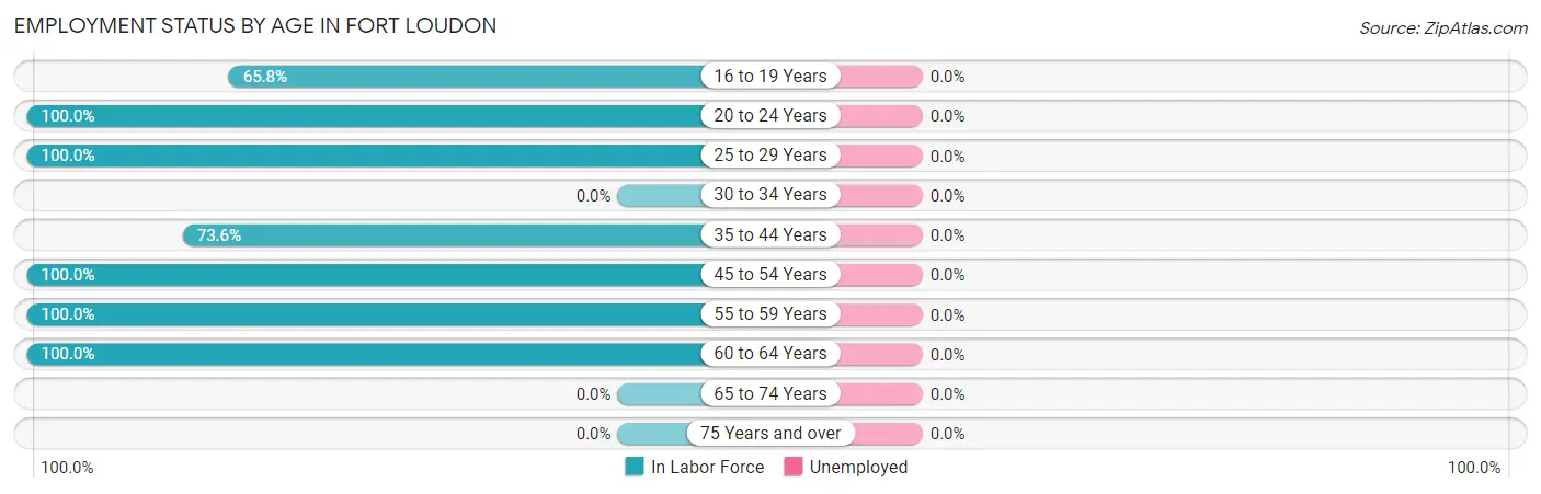 Employment Status by Age in Fort Loudon