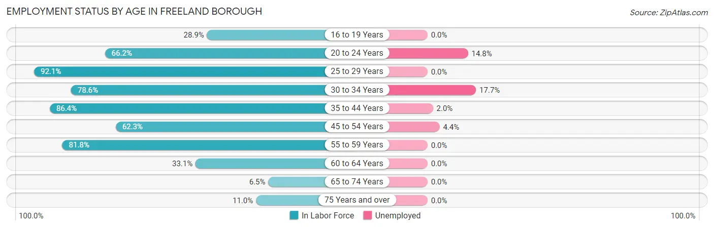 Employment Status by Age in Freeland borough