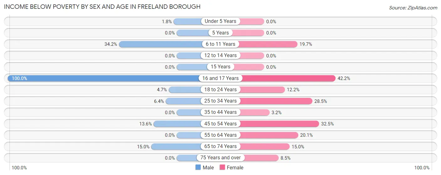 Income Below Poverty by Sex and Age in Freeland borough