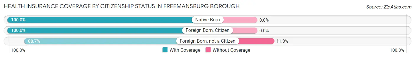 Health Insurance Coverage by Citizenship Status in Freemansburg borough