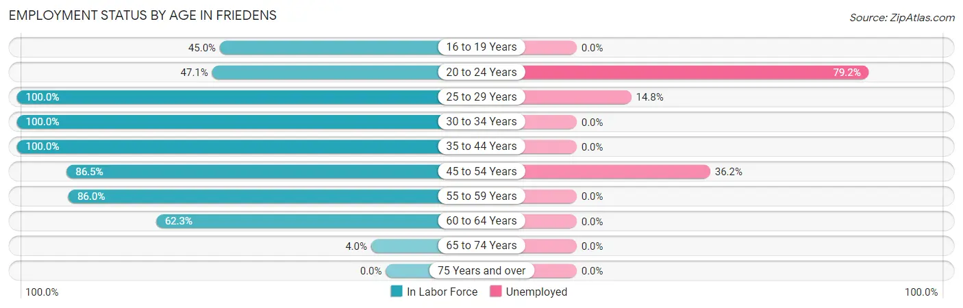 Employment Status by Age in Friedens