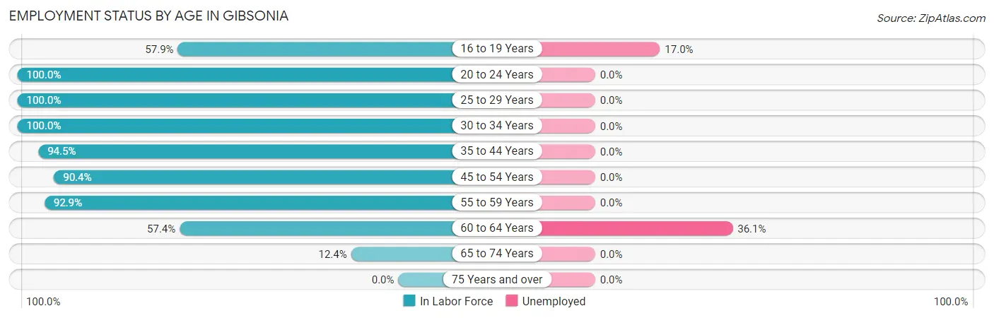 Employment Status by Age in Gibsonia