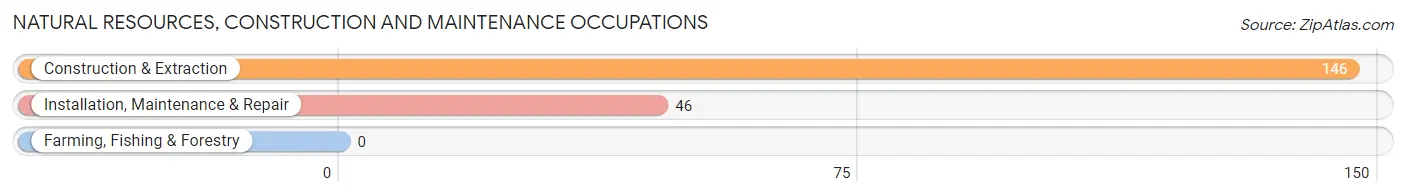 Natural Resources, Construction and Maintenance Occupations in Gibsonia