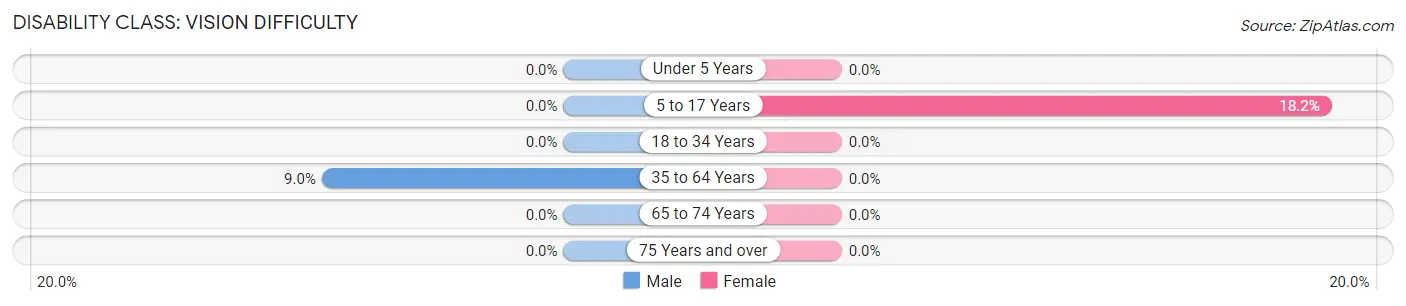 Disability in Gouldsboro: <span>Vision Difficulty</span>