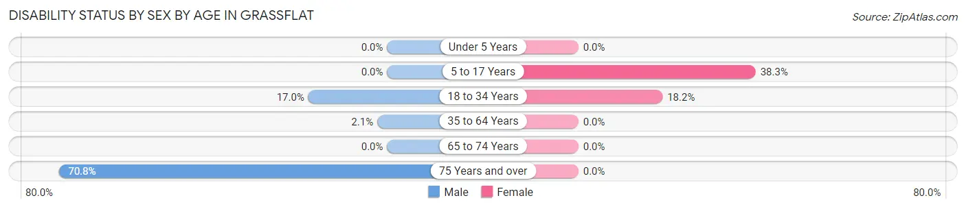 Disability Status by Sex by Age in Grassflat
