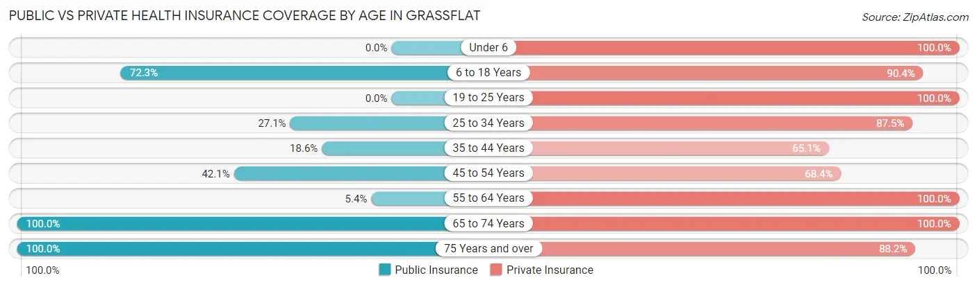 Public vs Private Health Insurance Coverage by Age in Grassflat