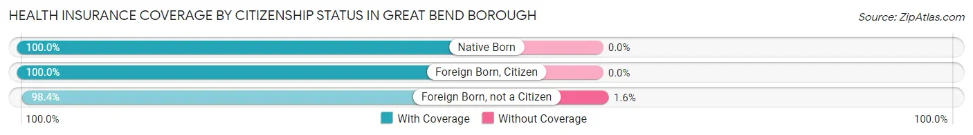 Health Insurance Coverage by Citizenship Status in Great Bend borough