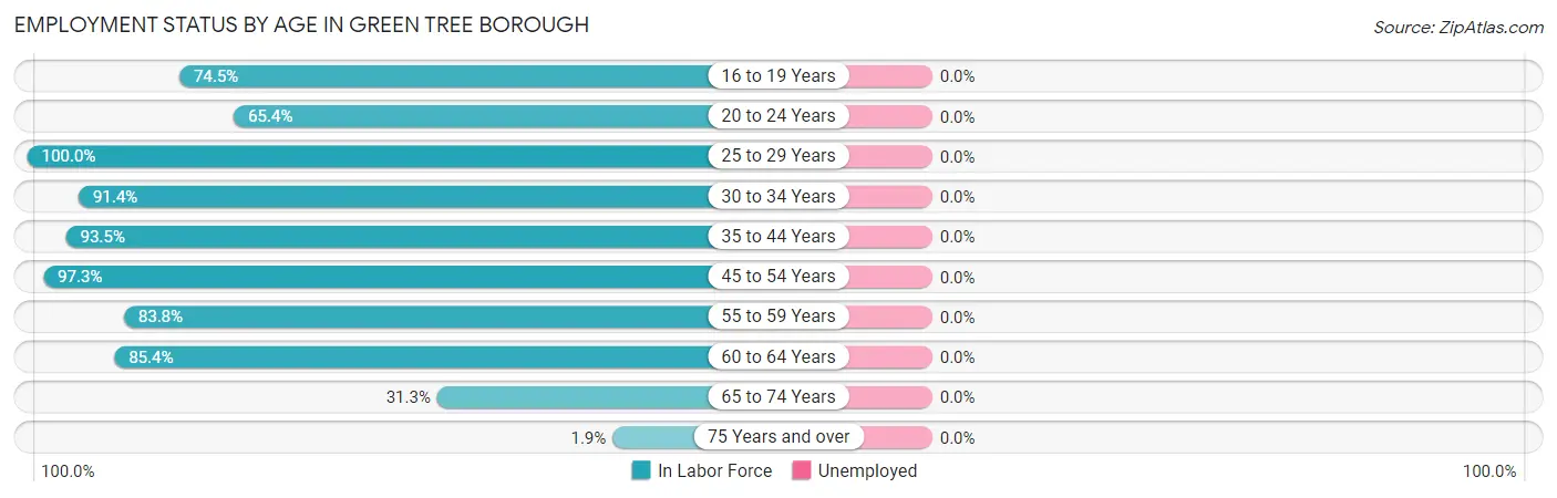 Employment Status by Age in Green Tree borough