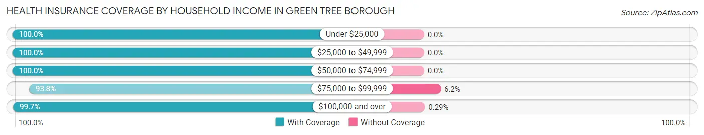 Health Insurance Coverage by Household Income in Green Tree borough