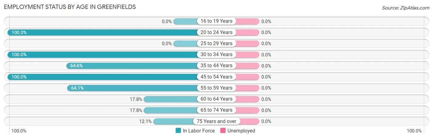 Employment Status by Age in Greenfields