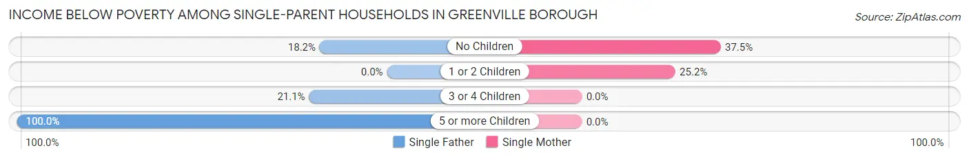 Income Below Poverty Among Single-Parent Households in Greenville borough