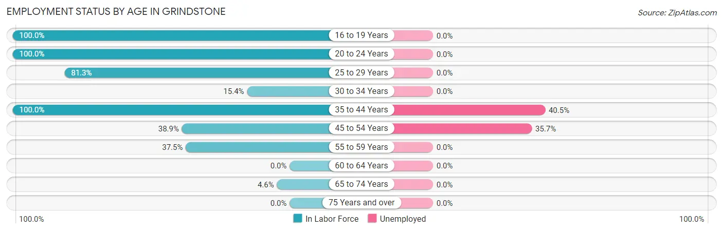 Employment Status by Age in Grindstone