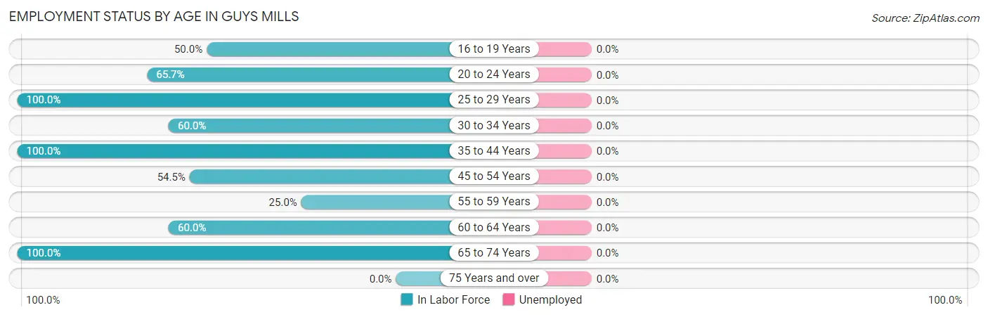 Employment Status by Age in Guys Mills
