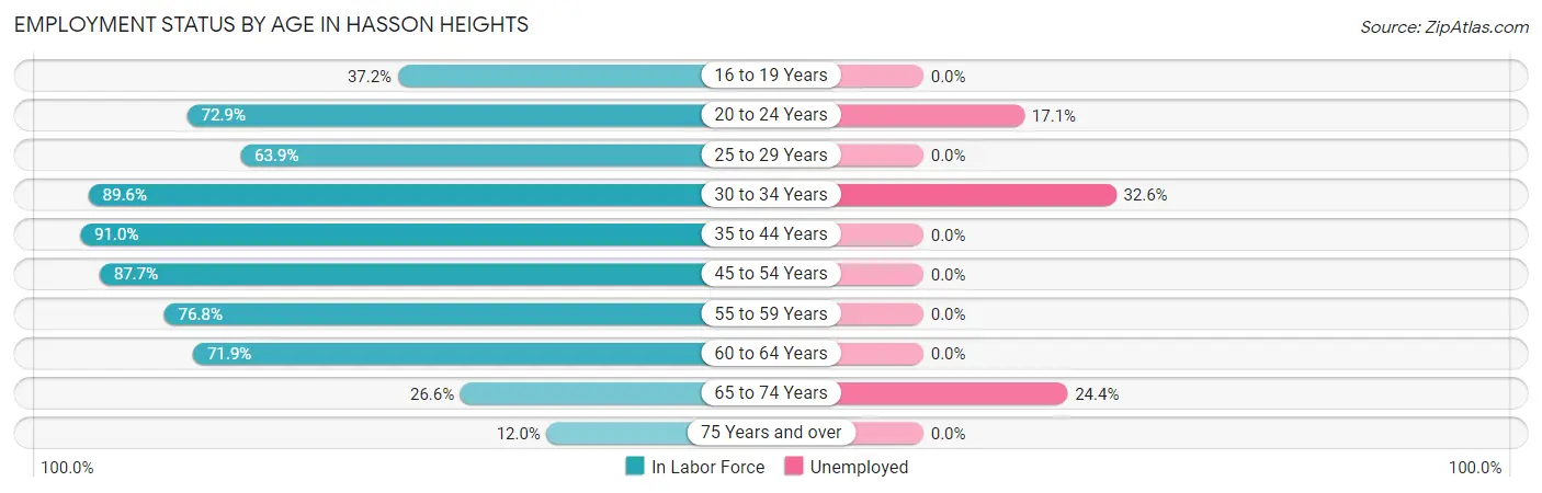 Employment Status by Age in Hasson Heights