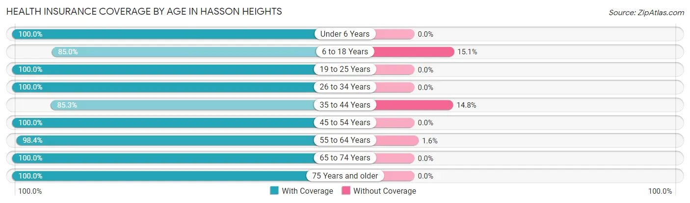 Health Insurance Coverage by Age in Hasson Heights