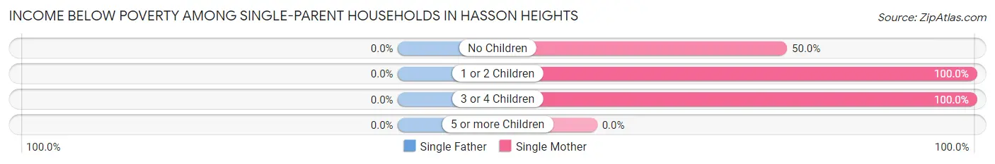 Income Below Poverty Among Single-Parent Households in Hasson Heights