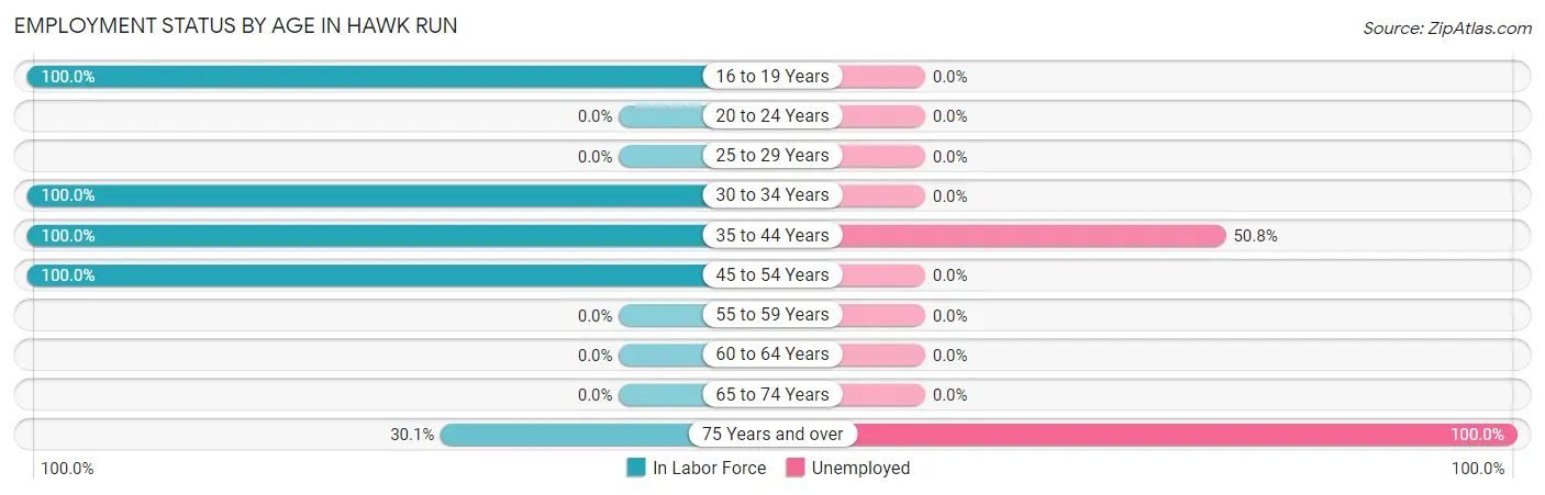 Employment Status by Age in Hawk Run
