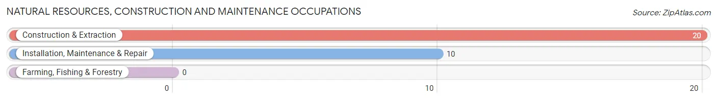 Natural Resources, Construction and Maintenance Occupations in Hawk Run