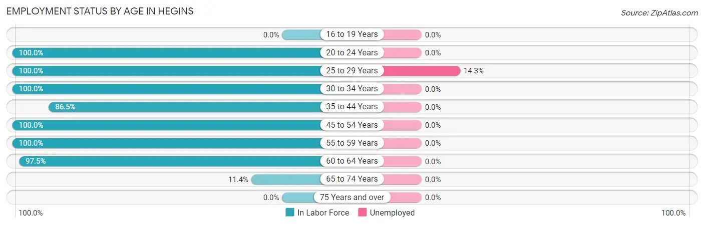 Employment Status by Age in Hegins