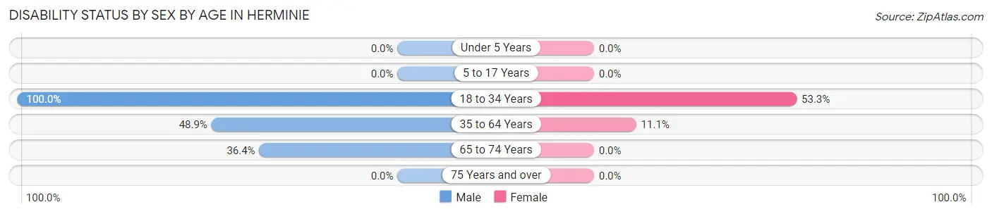 Disability Status by Sex by Age in Herminie