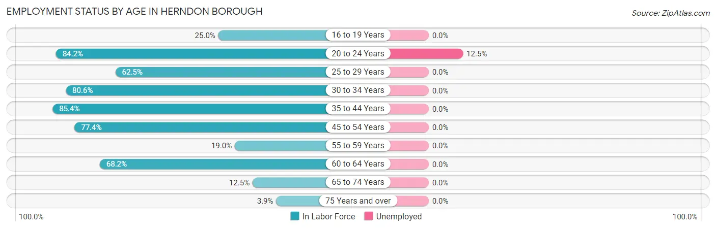 Employment Status by Age in Herndon borough