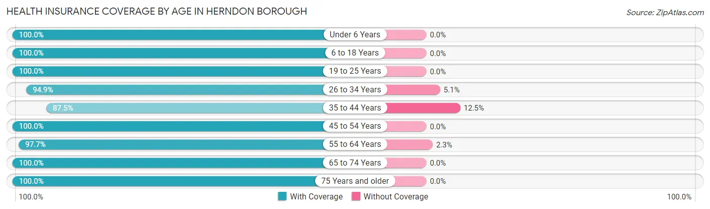 Health Insurance Coverage by Age in Herndon borough