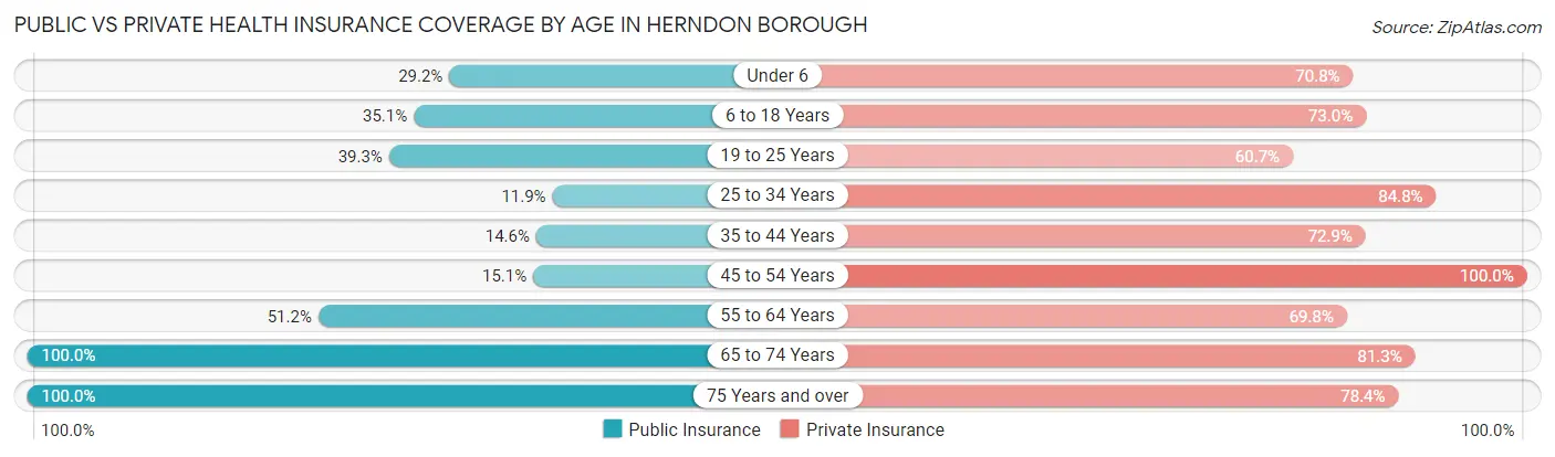 Public vs Private Health Insurance Coverage by Age in Herndon borough
