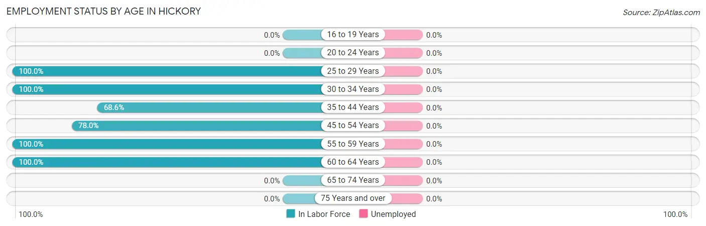 Employment Status by Age in Hickory