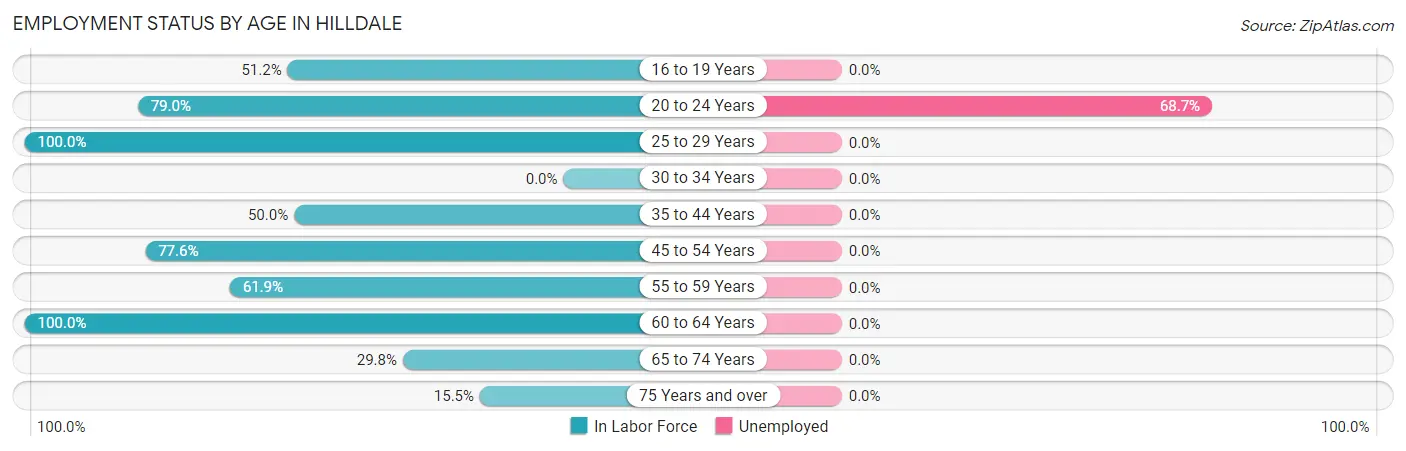Employment Status by Age in Hilldale
