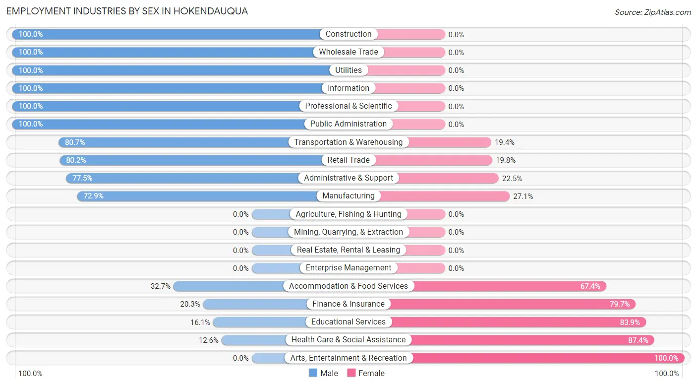 Employment Industries by Sex in Hokendauqua