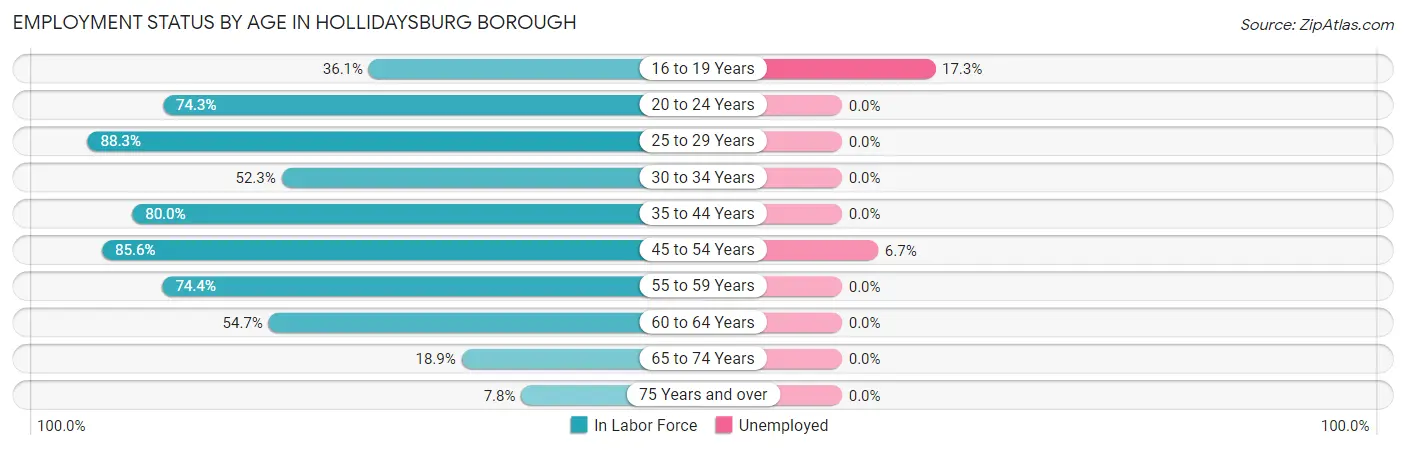 Employment Status by Age in Hollidaysburg borough