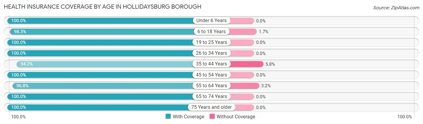 Health Insurance Coverage by Age in Hollidaysburg borough