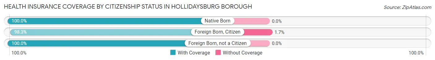 Health Insurance Coverage by Citizenship Status in Hollidaysburg borough