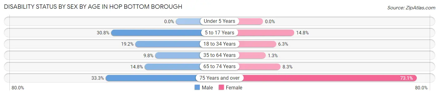 Disability Status by Sex by Age in Hop Bottom borough