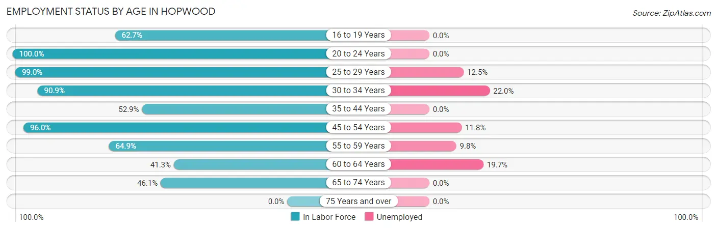 Employment Status by Age in Hopwood