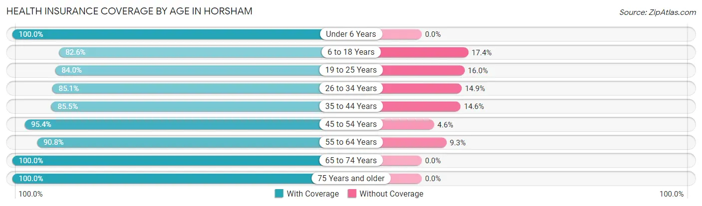 Health Insurance Coverage by Age in Horsham