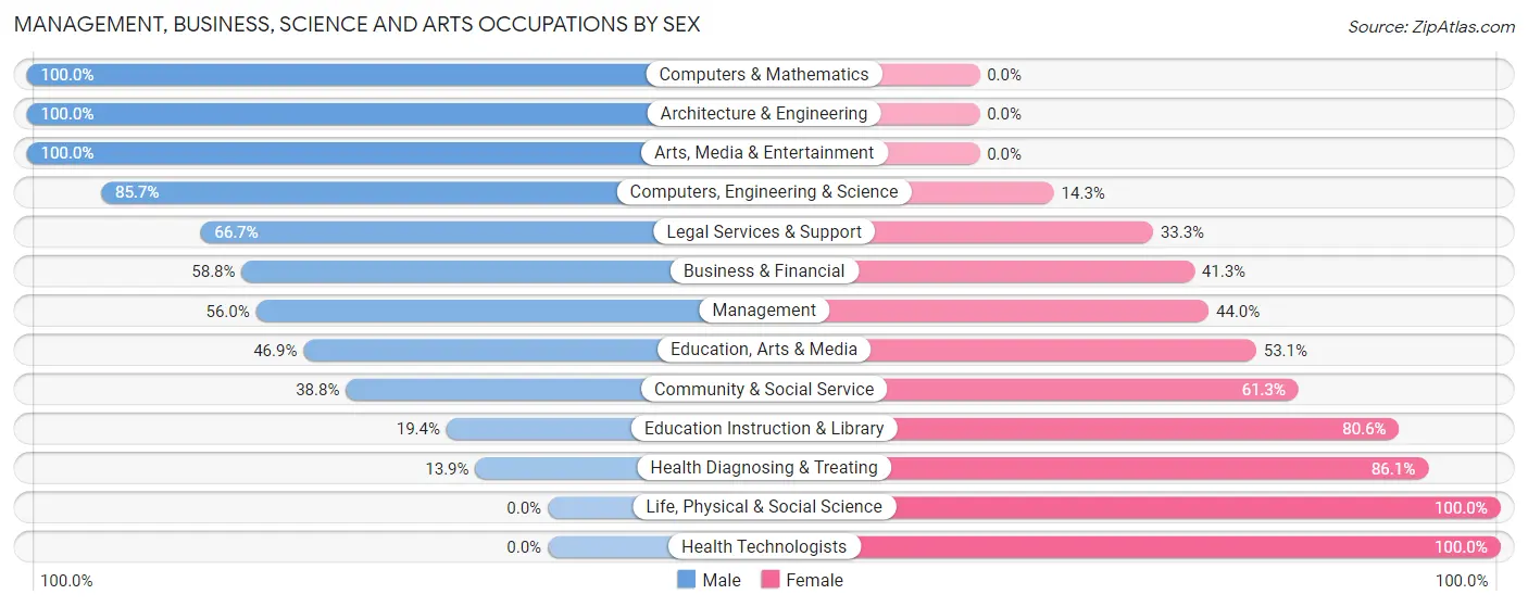 Management, Business, Science and Arts Occupations by Sex in Hughestown borough