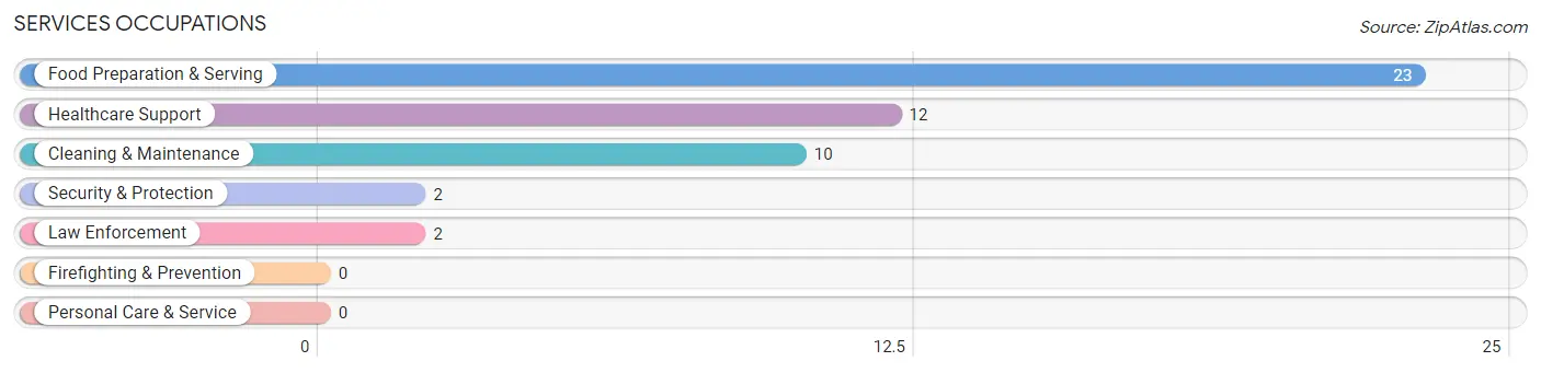 Services Occupations in Irvona borough