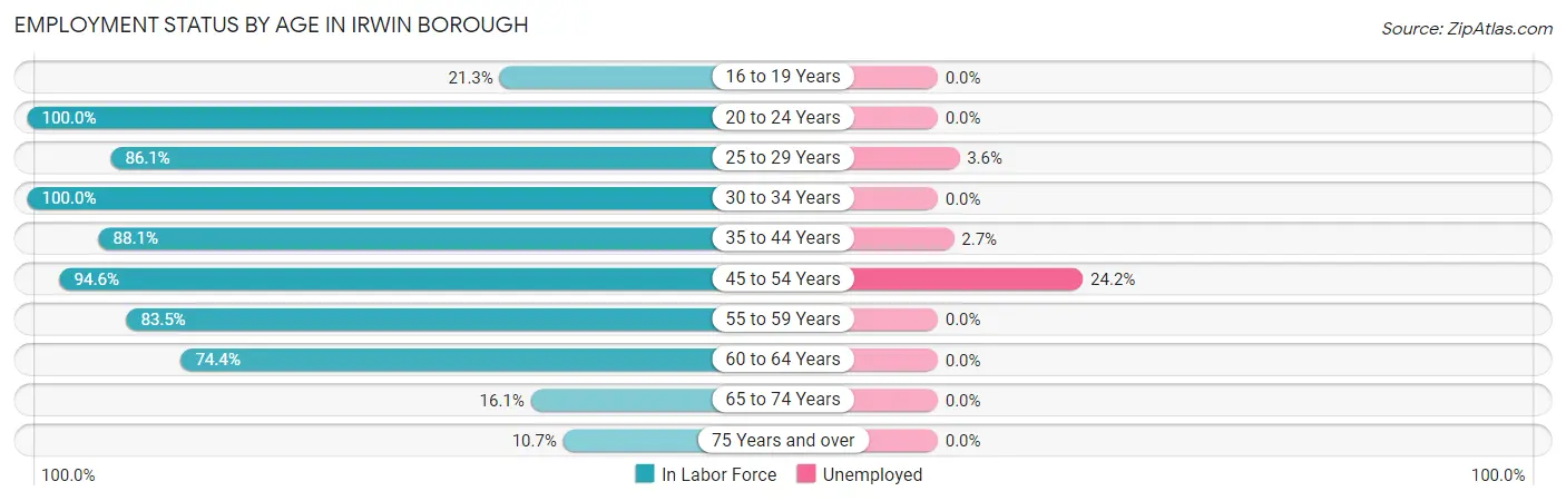 Employment Status by Age in Irwin borough