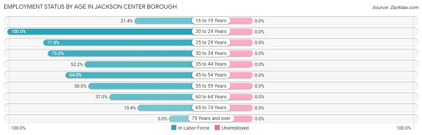 Employment Status by Age in Jackson Center borough