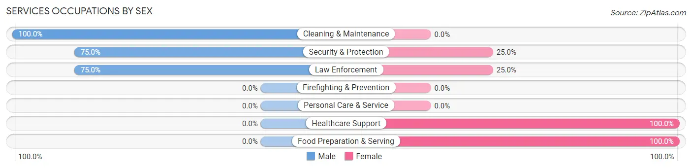 Services Occupations by Sex in Jackson Center borough