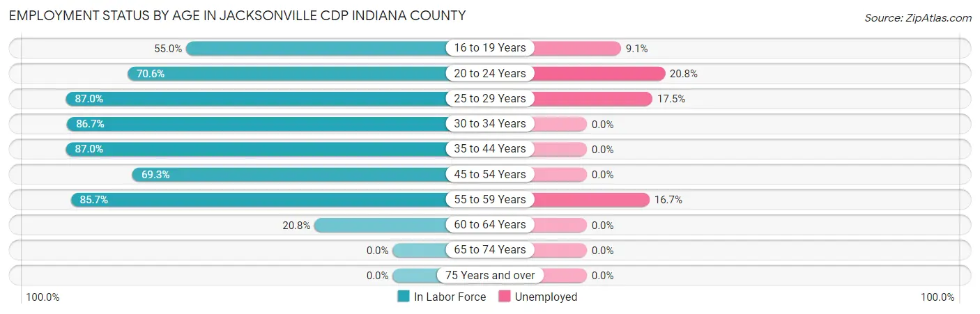 Employment Status by Age in Jacksonville CDP Indiana County