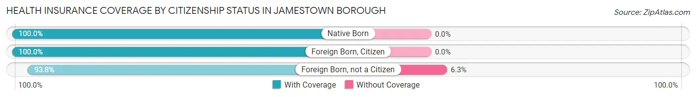 Health Insurance Coverage by Citizenship Status in Jamestown borough